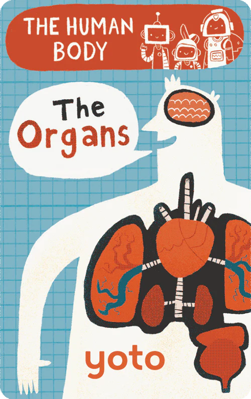 BrainBots: The Human Body | Yoto
