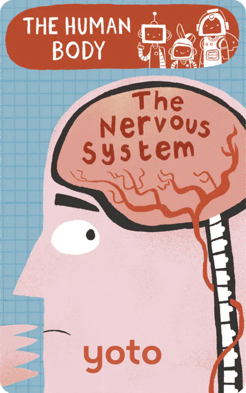 BrainBots: The Human Body | Yoto
