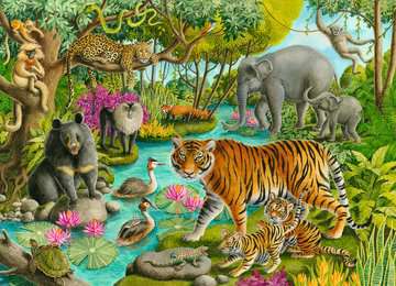Animals of India - 60 pcs