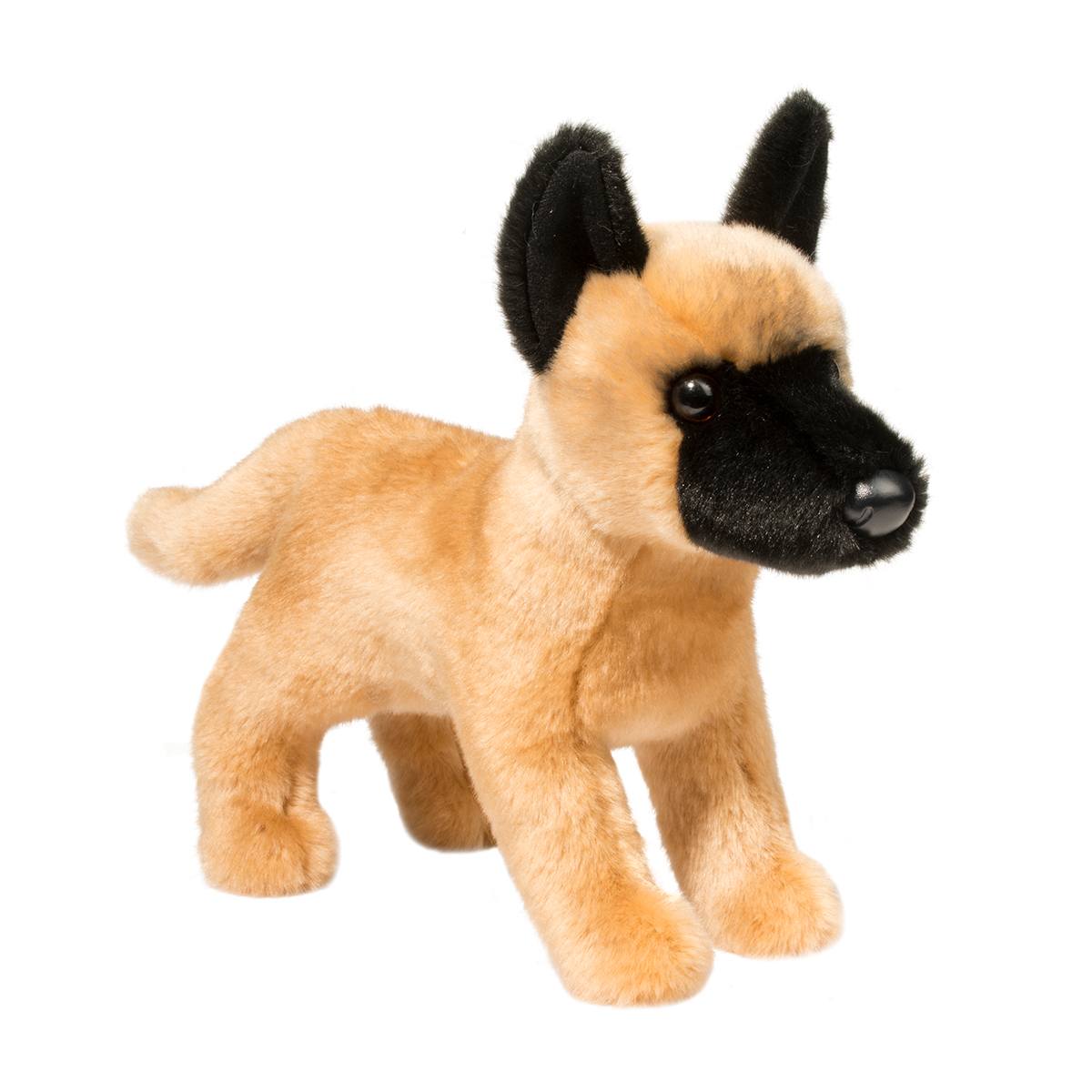 Klaus Belgian Malinois | Douglas