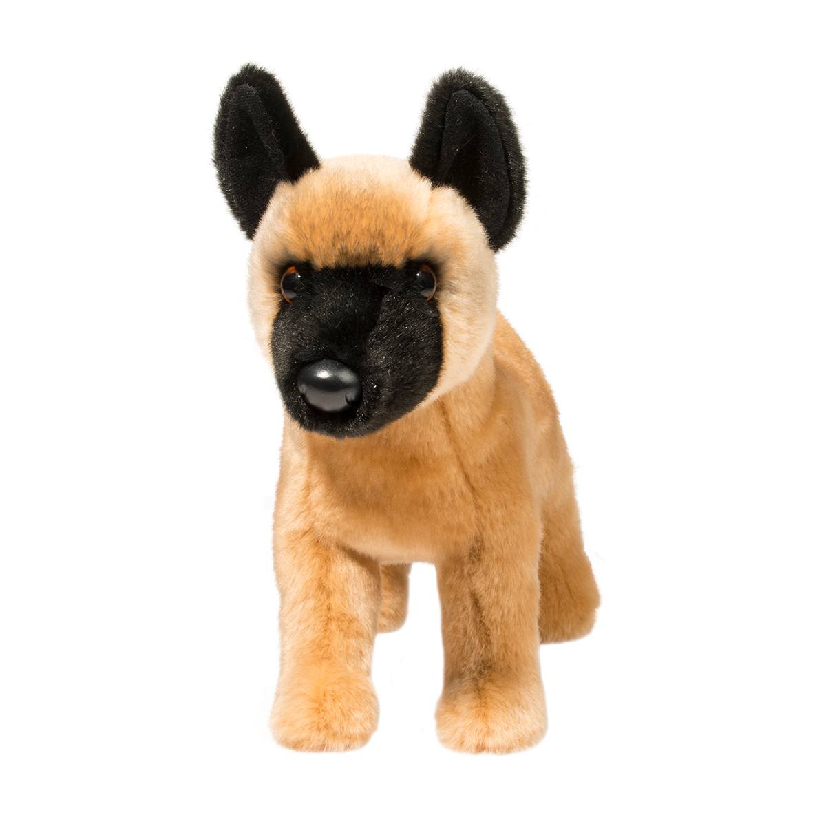 Klaus Belgian Malinois | Douglas