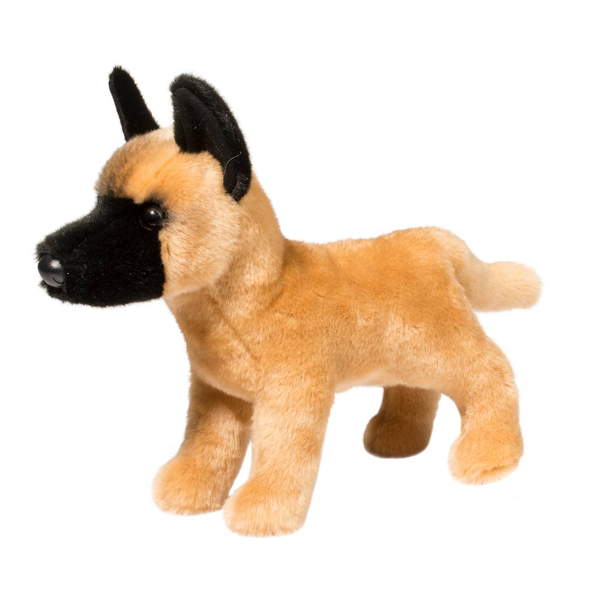 Klaus Belgian Malinois | Douglas