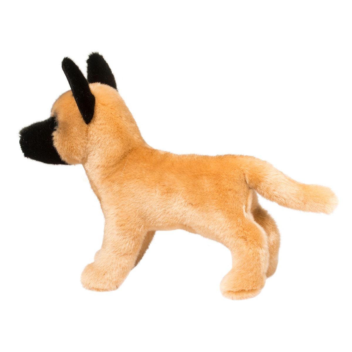 Klaus Belgian Malinois | Douglas