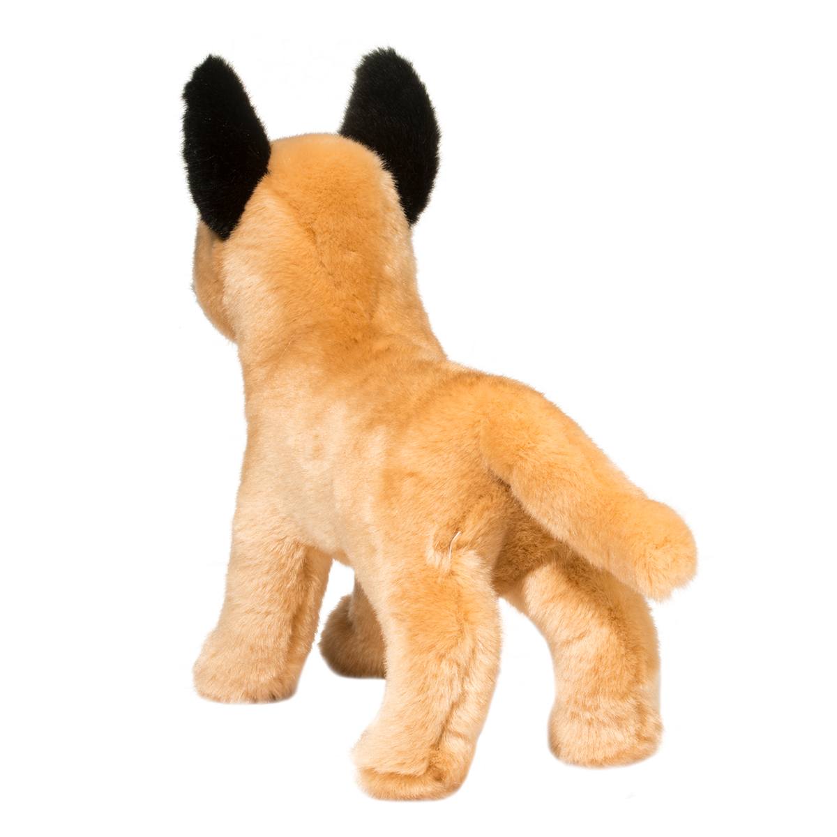 Klaus Belgian Malinois | Douglas