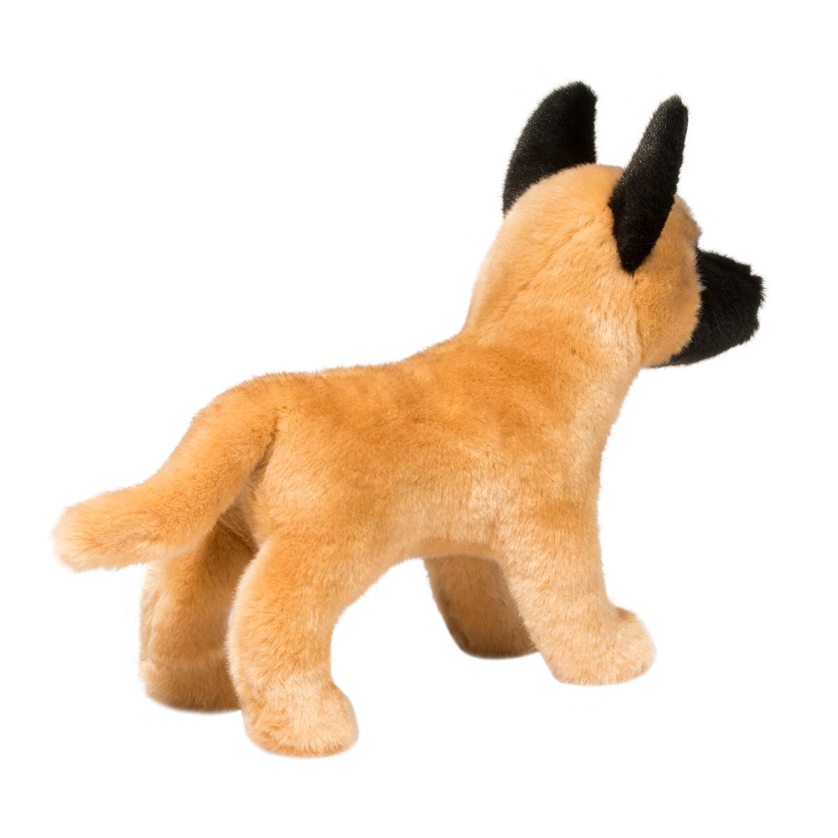 Klaus Belgian Malinois | Douglas