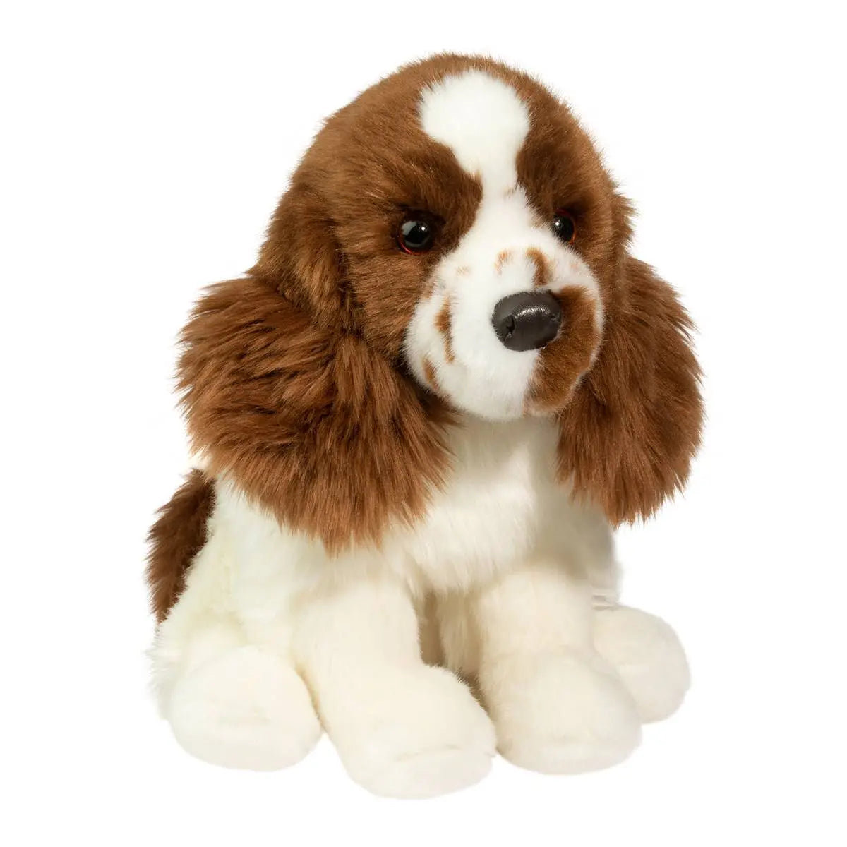 Chip Springer Spaniel | Douglas