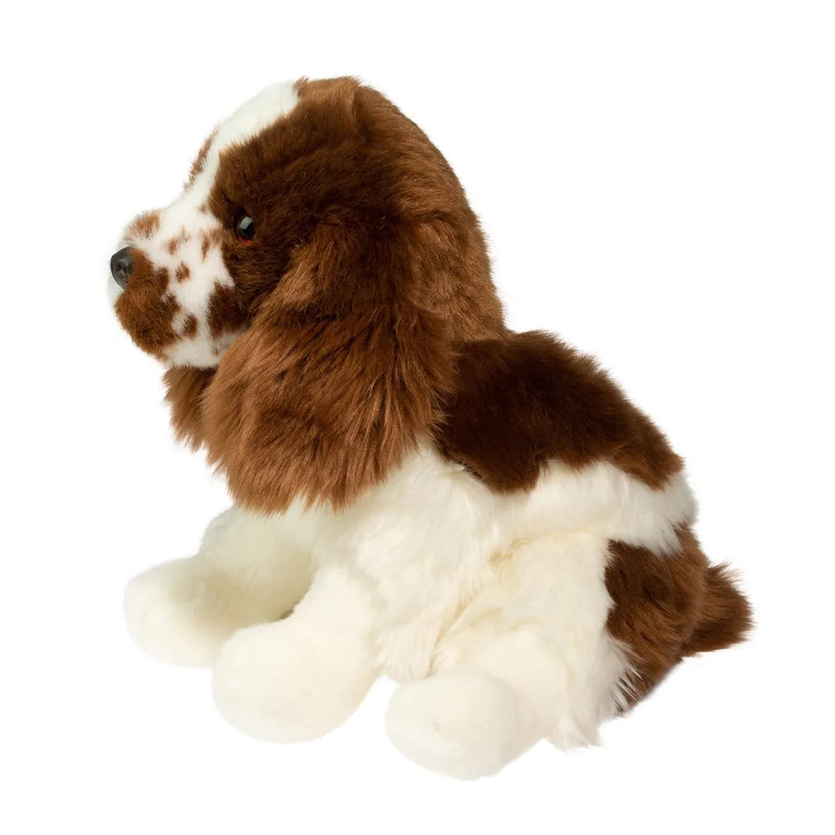 Chip Springer Spaniel | Douglas