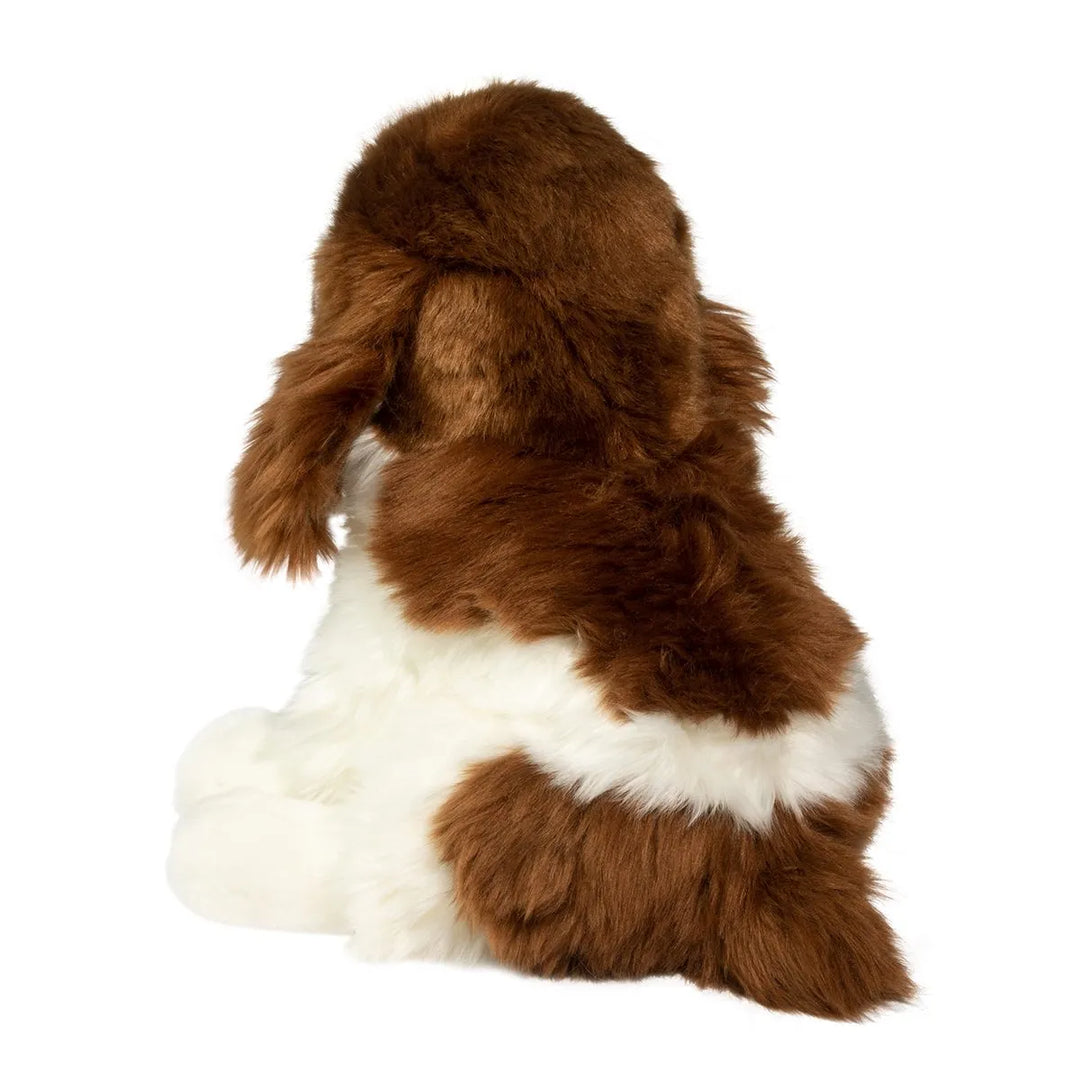 Chip Springer Spaniel | Douglas