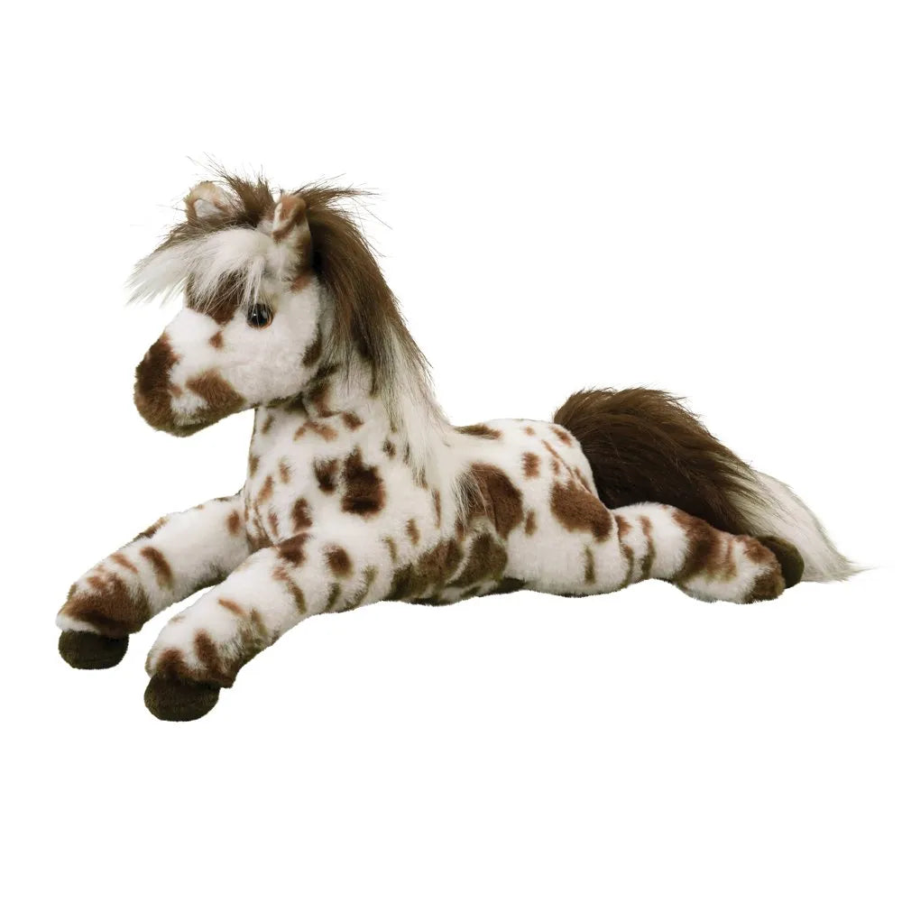 Duke Appaloosa Horse | Douglas