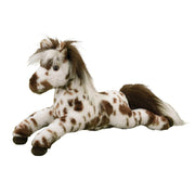 Duke Appaloosa Horse | Douglas