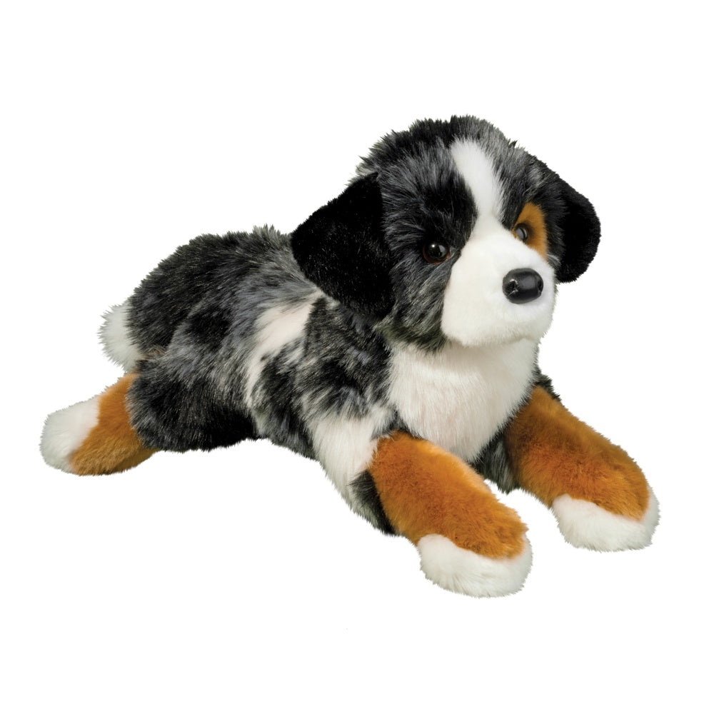 Maizie Australian Shepherd | Douglas