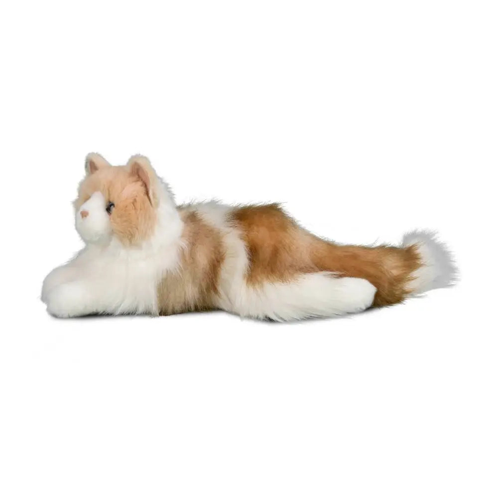 Kiki Ragdoll Cat | Douglas