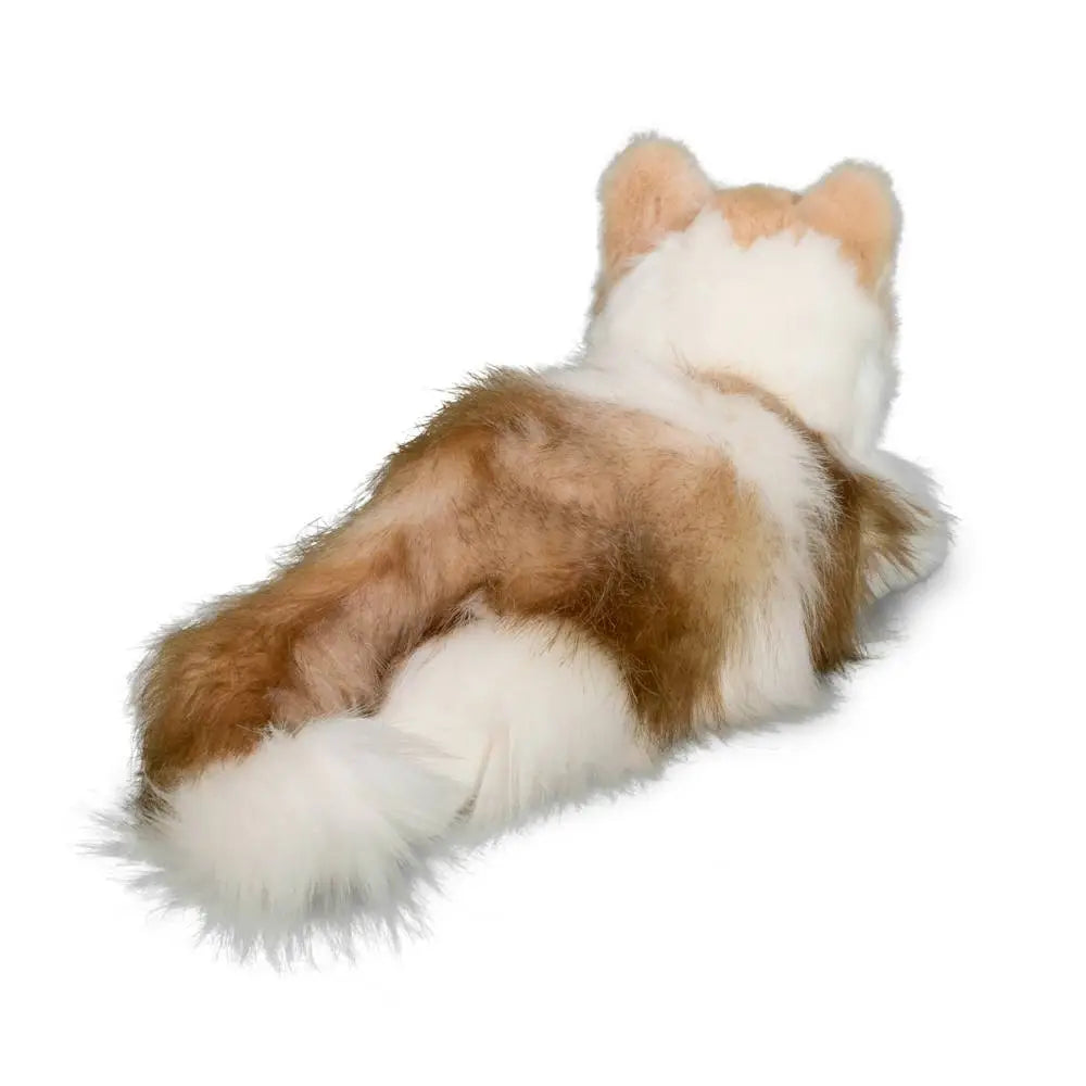 Kiki Ragdoll Cat | Douglas