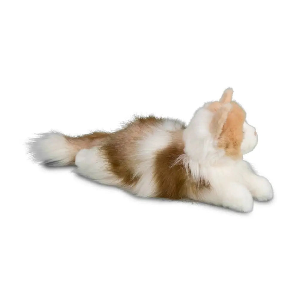 Kiki Ragdoll Cat | Douglas