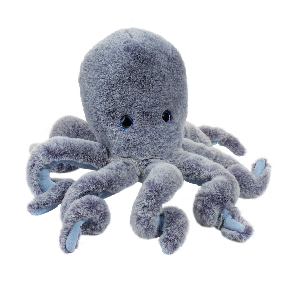Jamie Octopus | Douglas