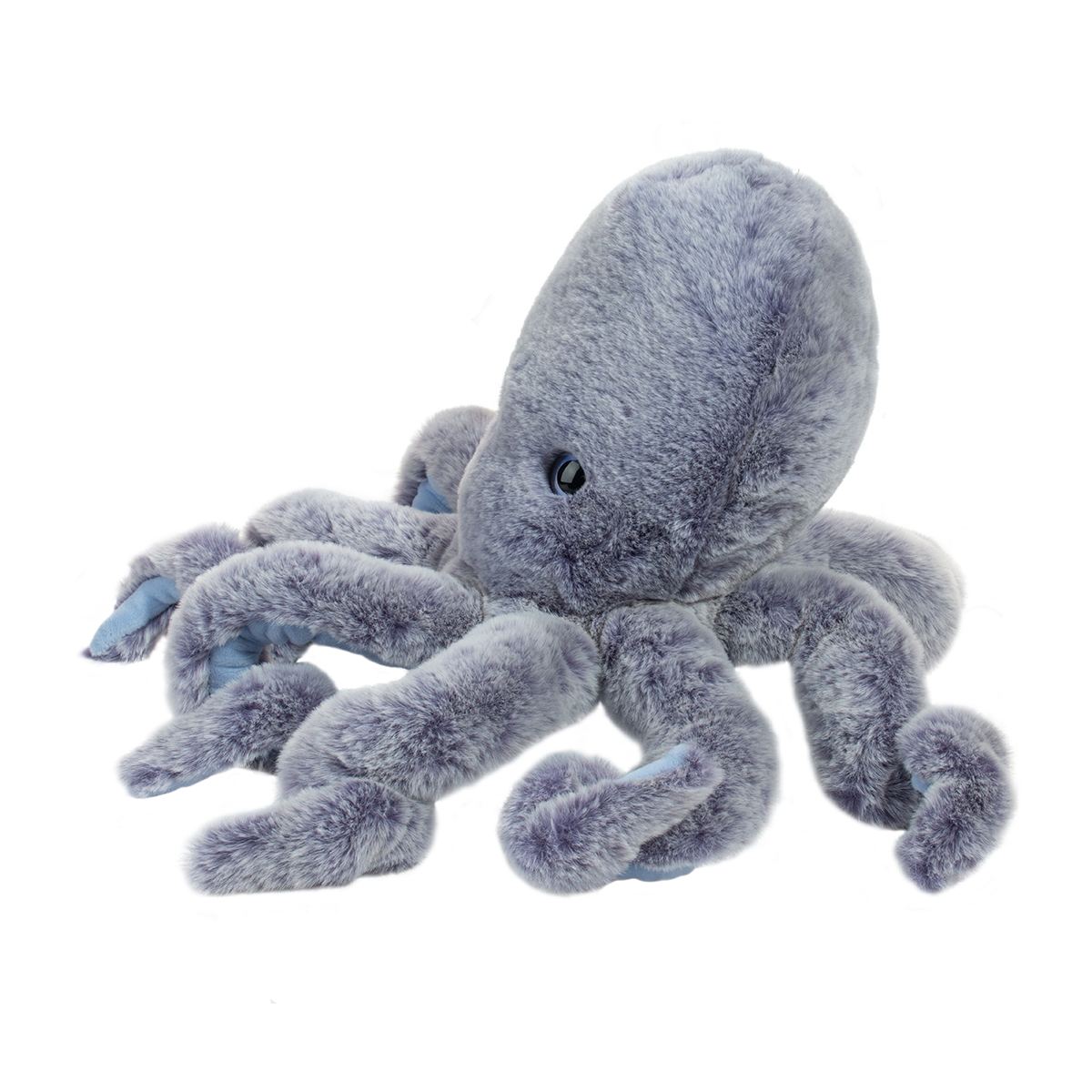 Jamie Octopus | Douglas