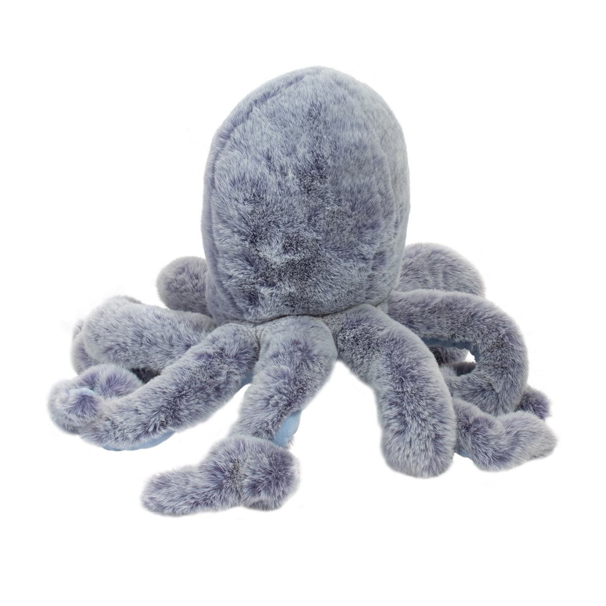 Jamie Octopus | Douglas