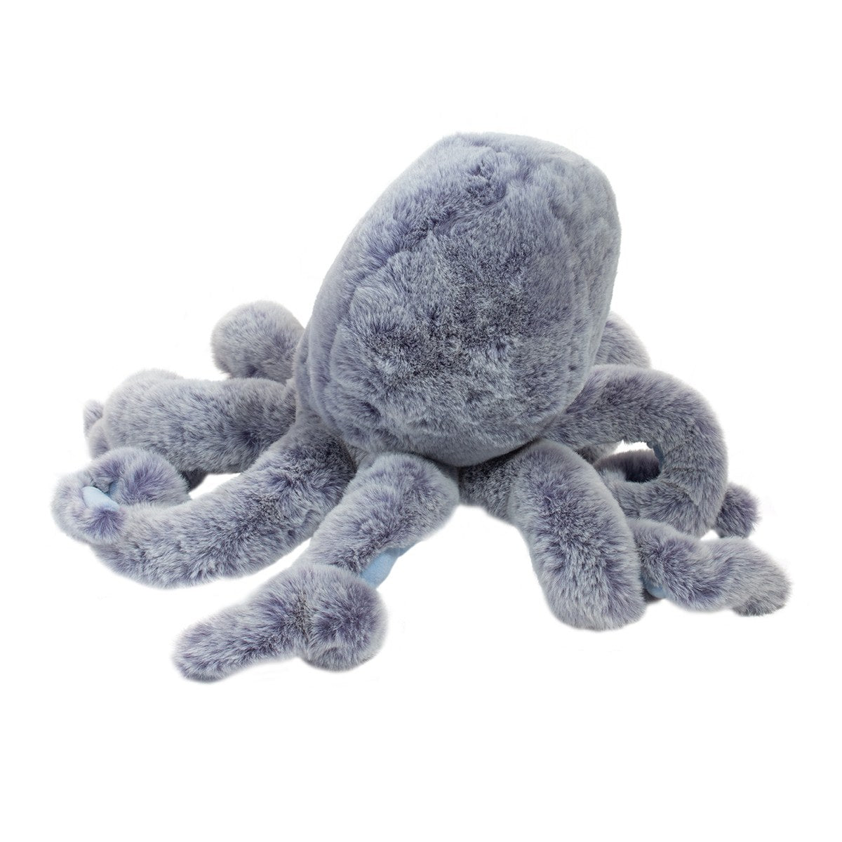 Jamie Octopus | Douglas