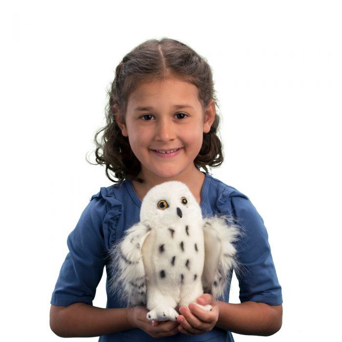 Wizard the Snowy Owl | Douglas