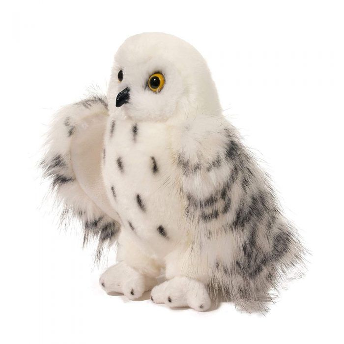 Wizard the Snowy Owl | Douglas