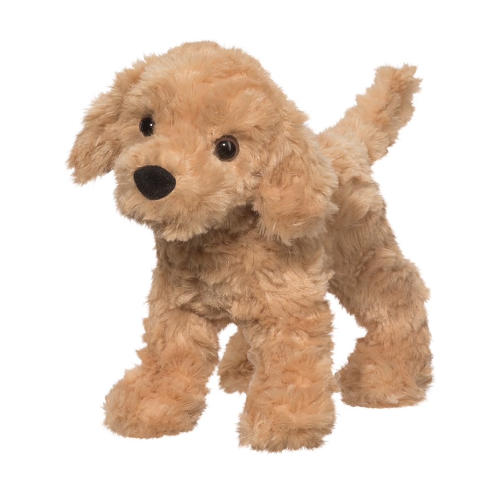 Thatcher Golden Retriever | Douglas