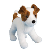 Feisty Jack Russel Terrier | Douglas