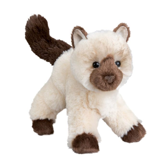 Hilda Himalayan Cat | Douglas
