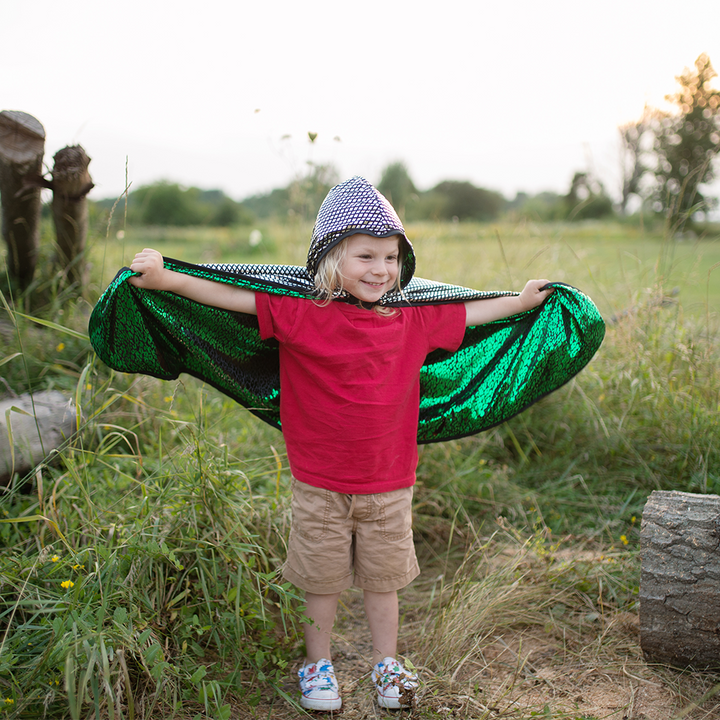 Dragon Knight Reversible Cape | Great Pretenders