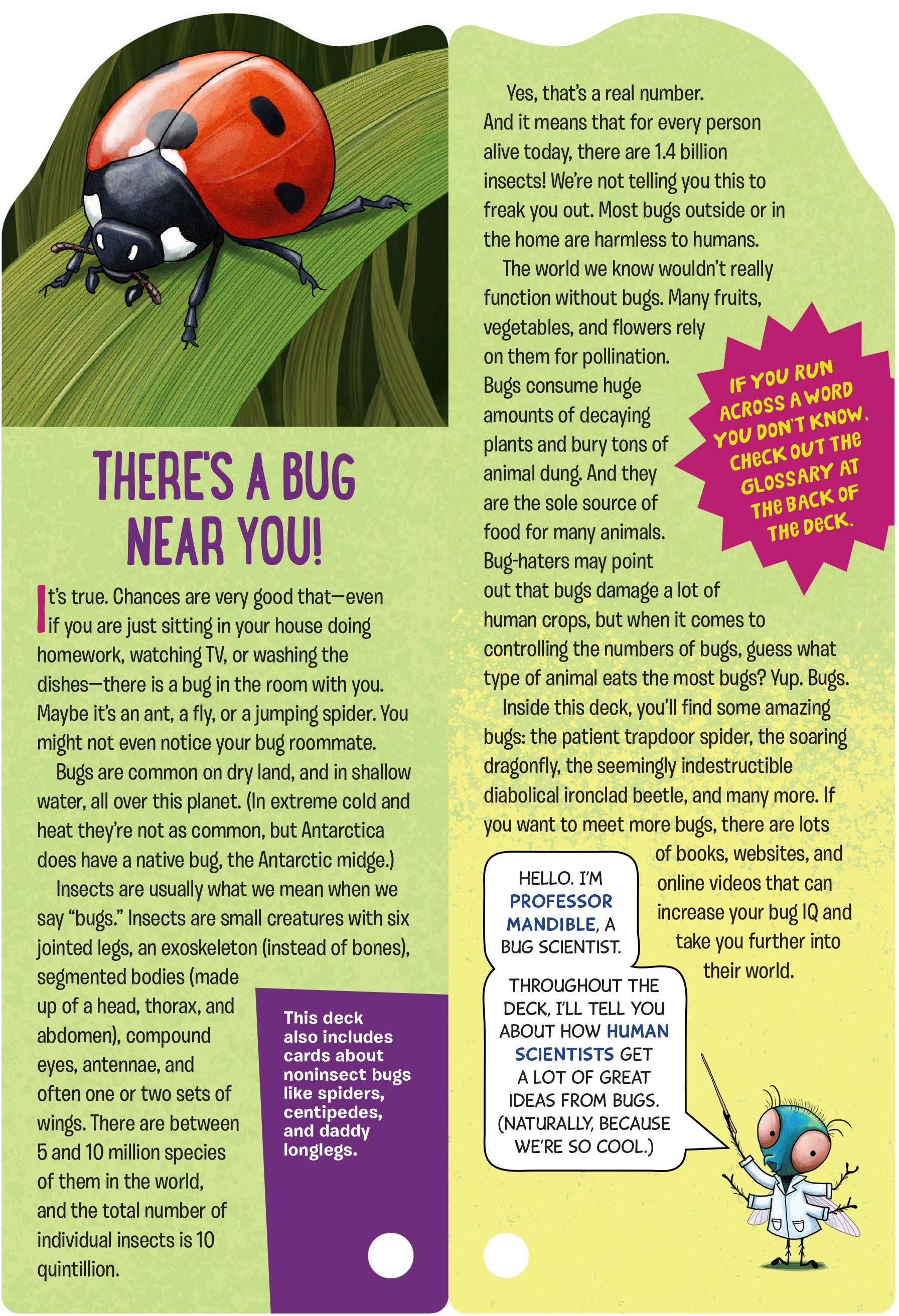 Fandex Kids: Bugs