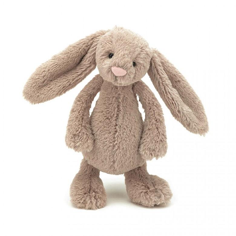 Bashful Beige Bunny | Jellycat – The Curious Bear Toy & Book Shop