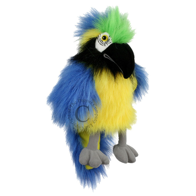 Baby Bird Puppet - Blue & Gold Macaw