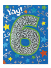 Age 6 Foil Gift Enclosure Card