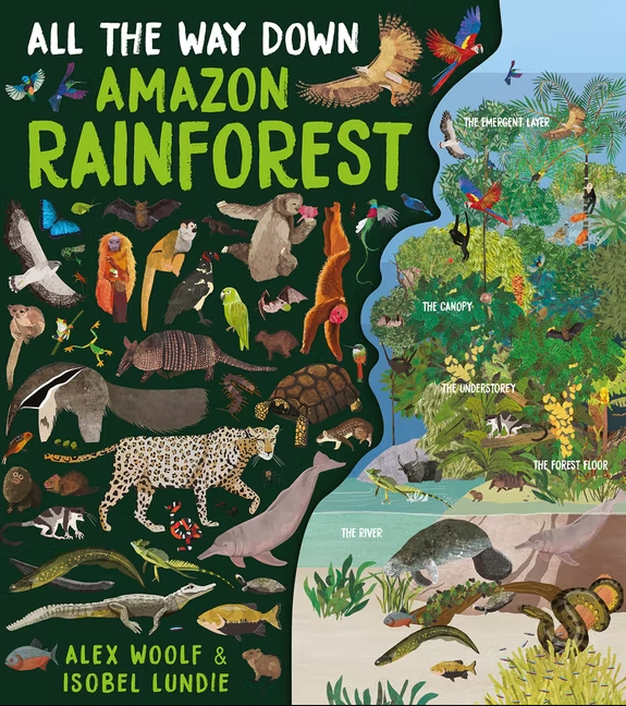 All the Way Down: Amazon Rainforest