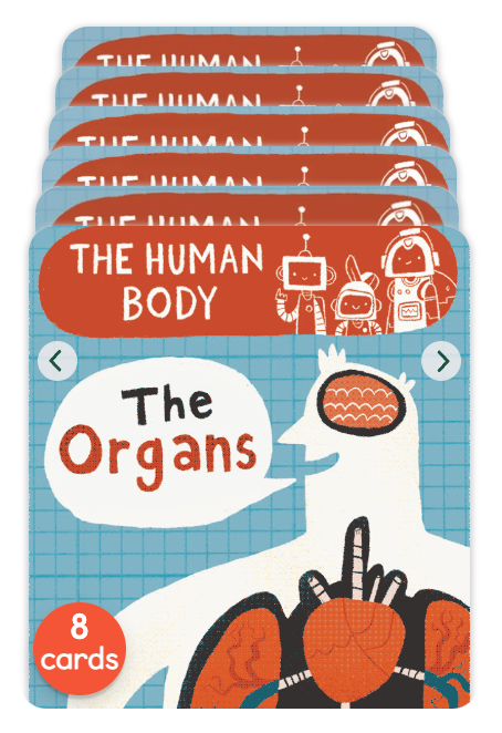 Yoto - BrainBots: The Human Body