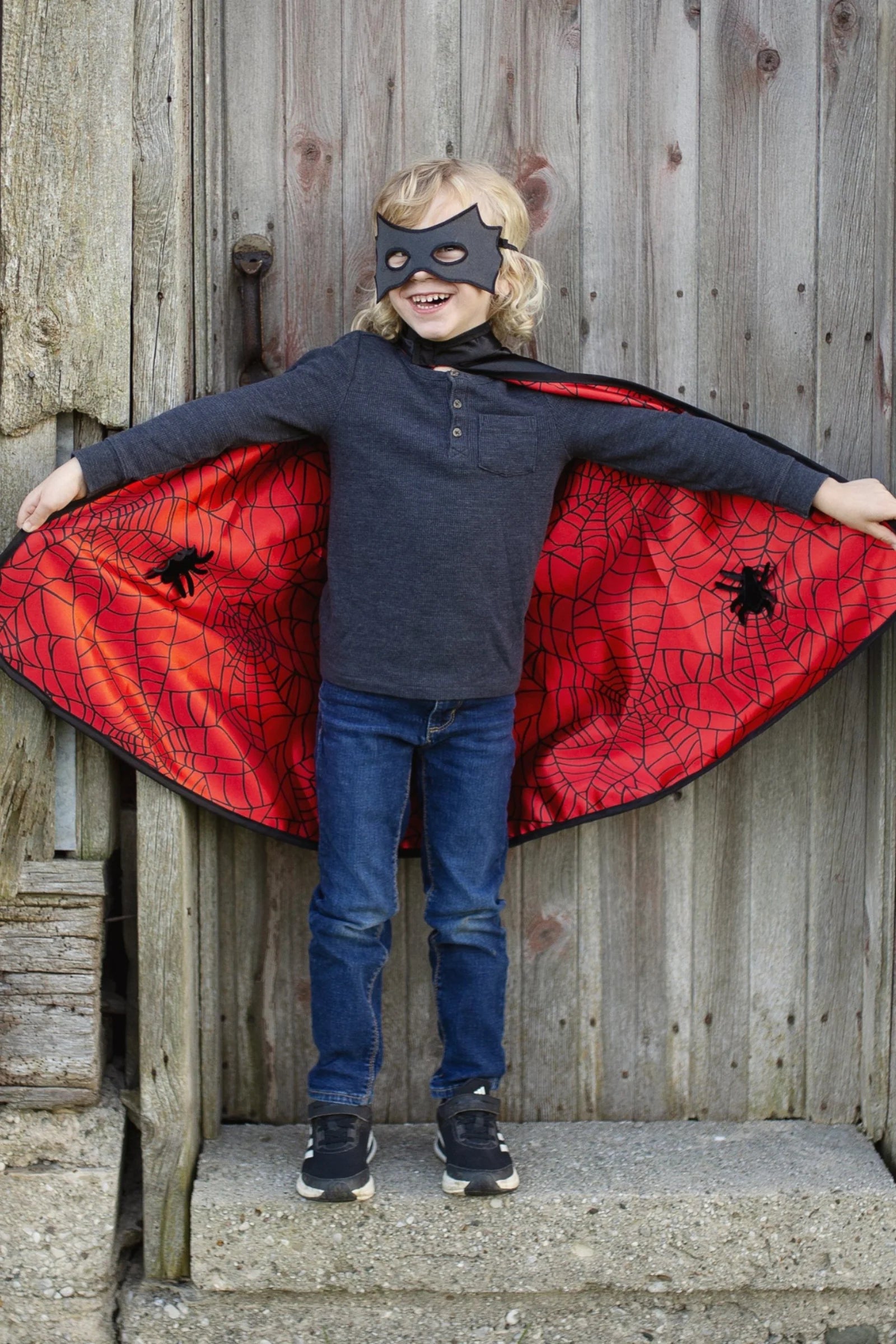 Reversible Spider Bat Cape and Mask | Great Pretenders