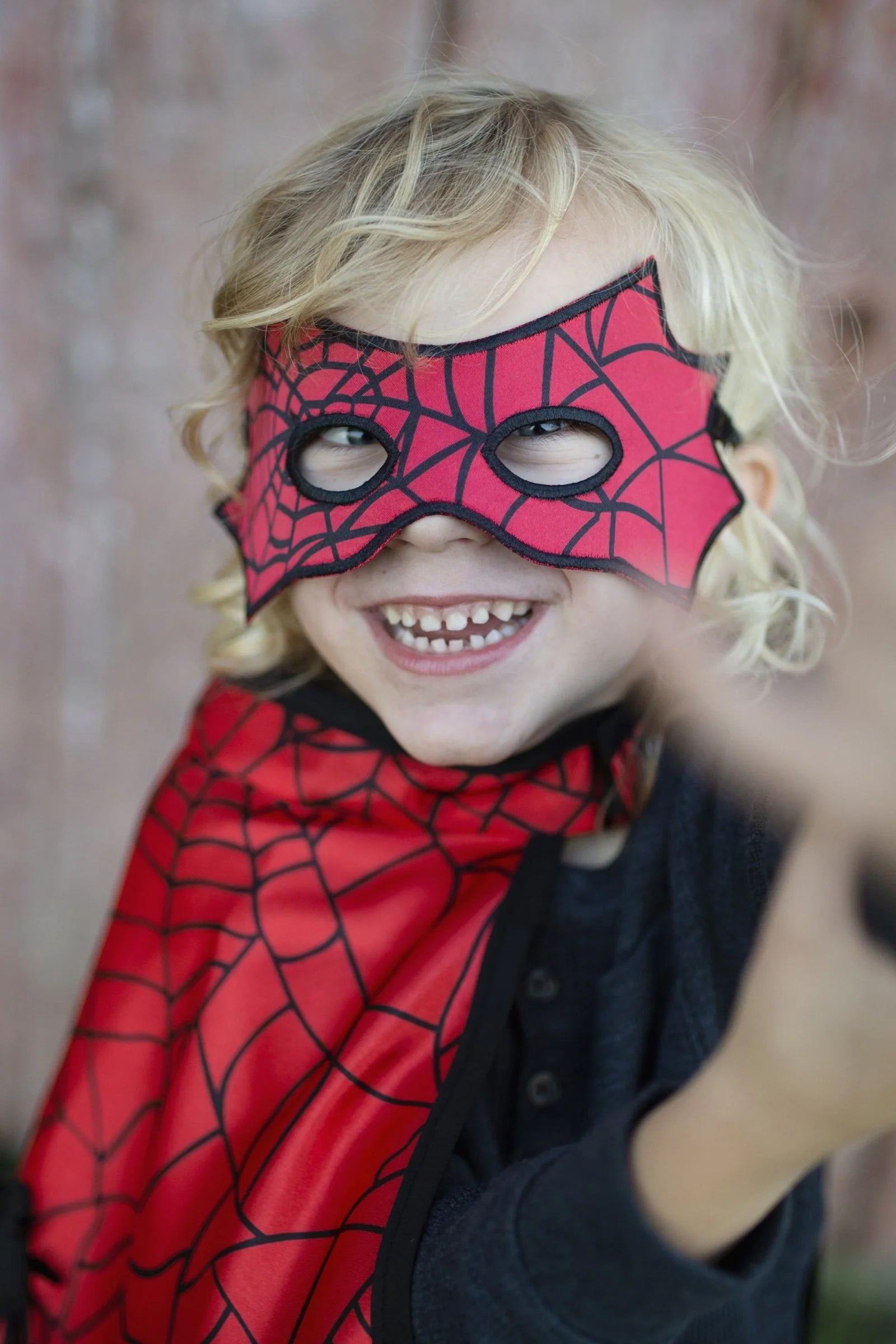 Reversible Spider Bat Cape and Mask | Great Pretenders