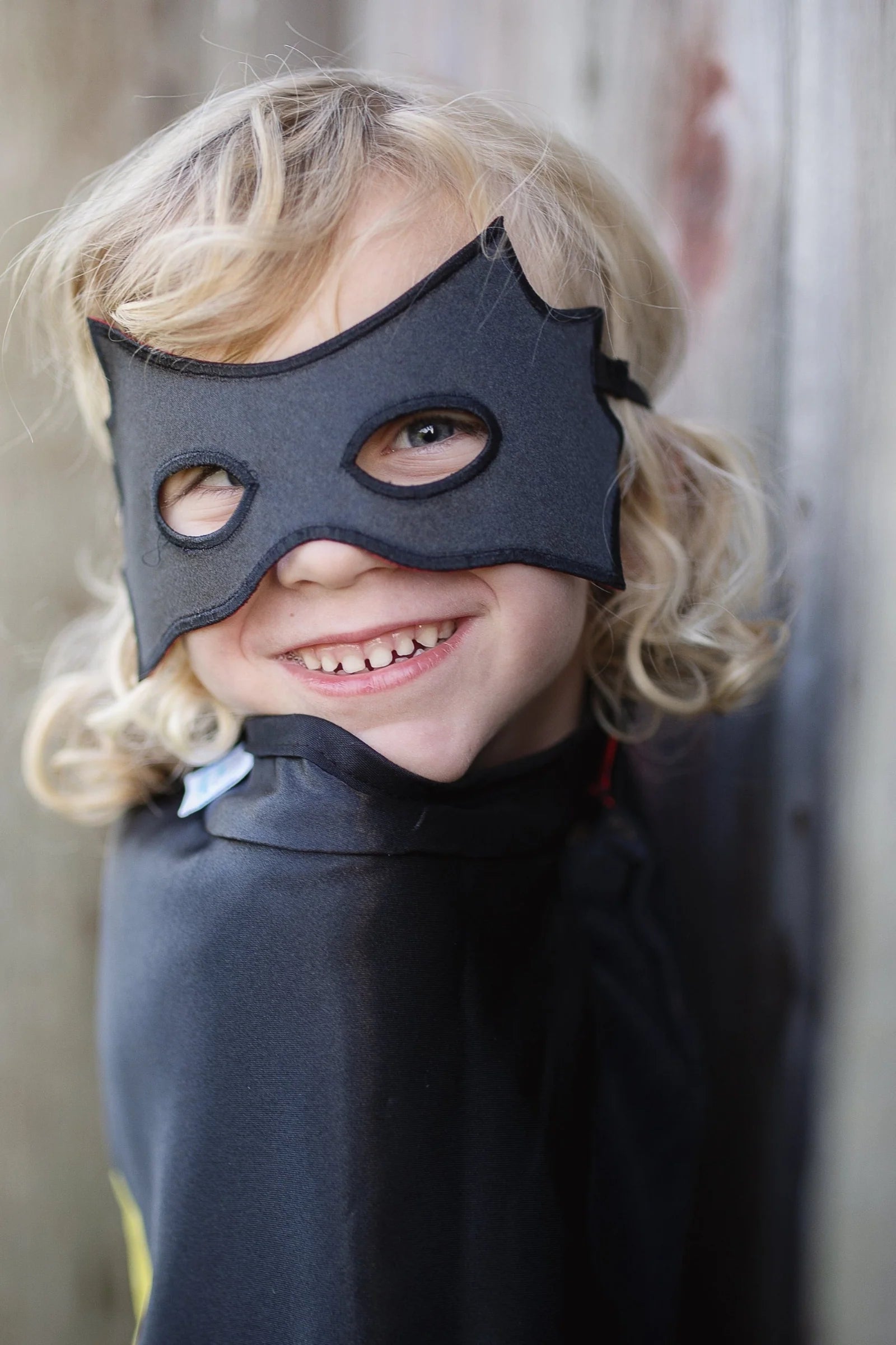 Reversible Spider Bat Cape and Mask | Great Pretenders