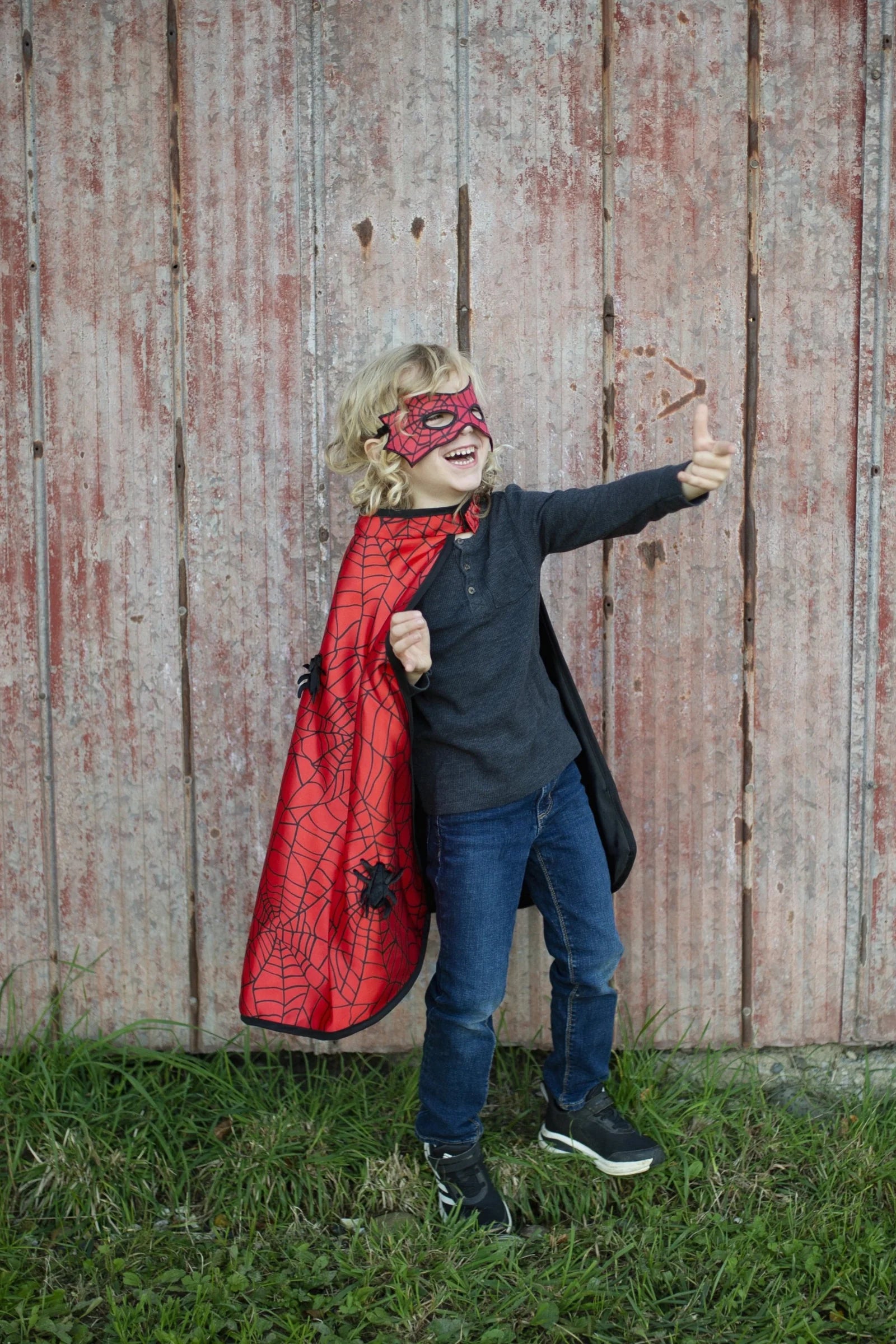 Reversible Spider Bat Cape and Mask | Great Pretenders