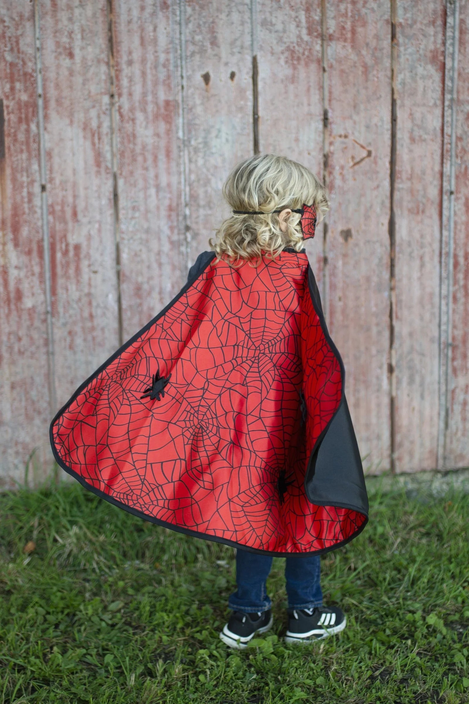Reversible Spider Bat Cape and Mask | Great Pretenders