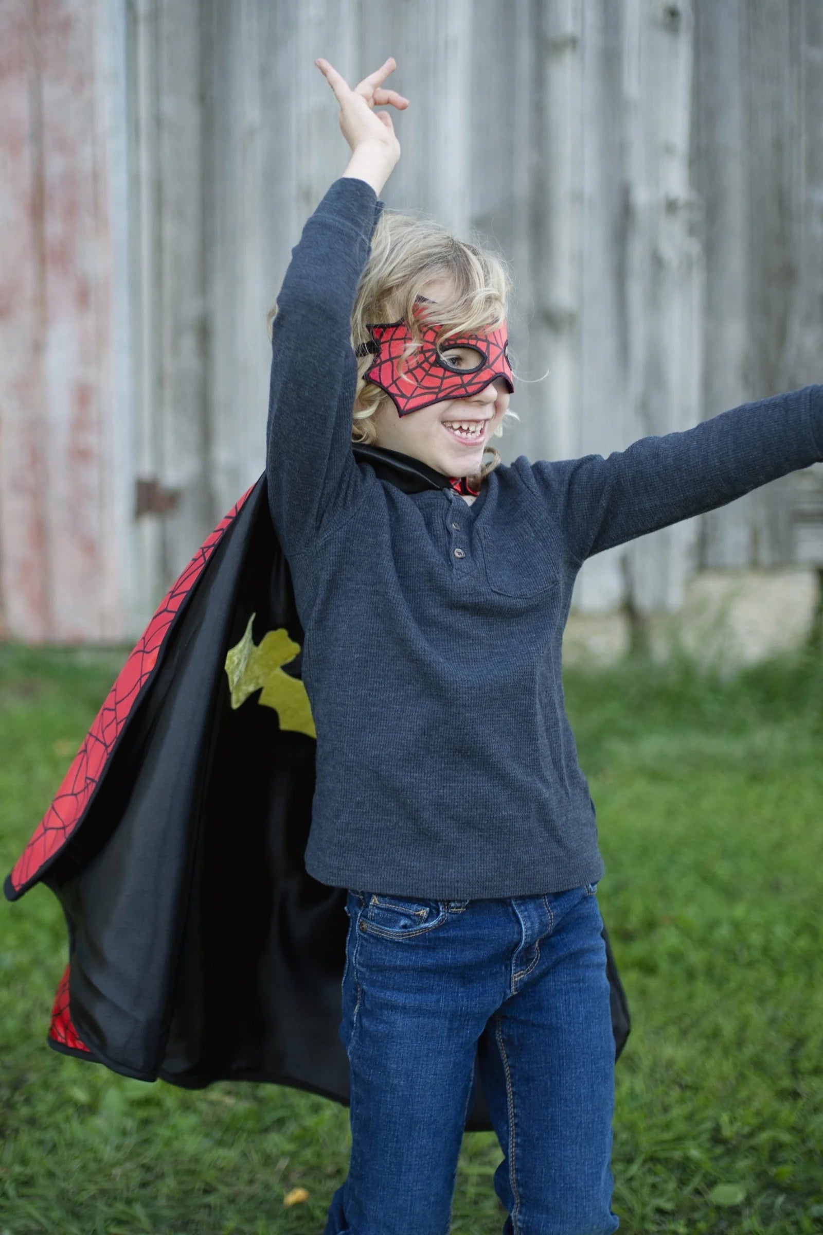 Reversible Spider Bat Cape and Mask | Great Pretenders