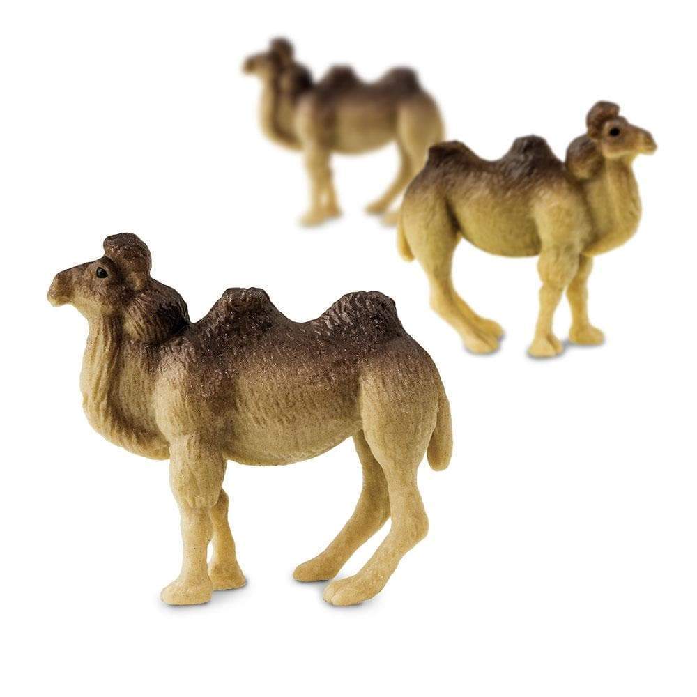 Camels - Good Luck Minis