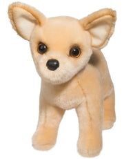 Carlos Chihuahua | Douglas