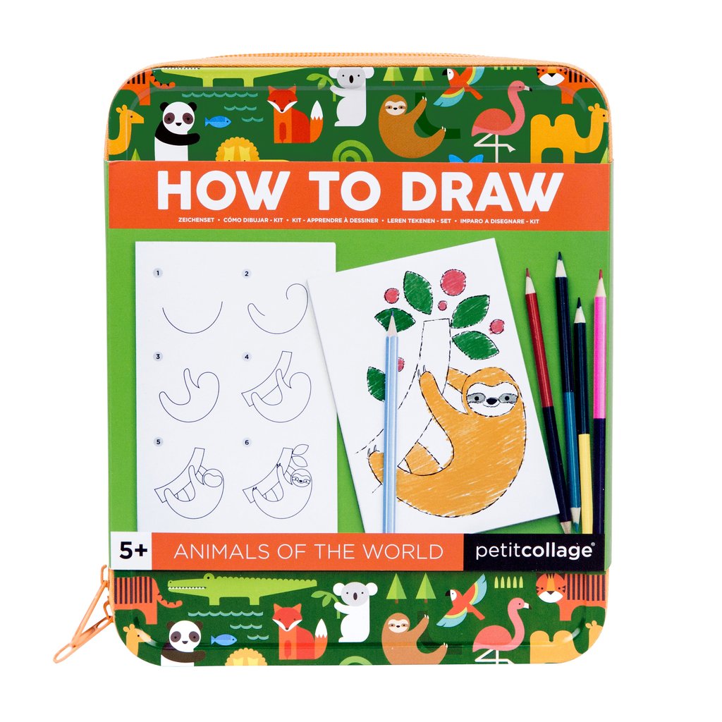 How to Draw Animals of the World | petit collage