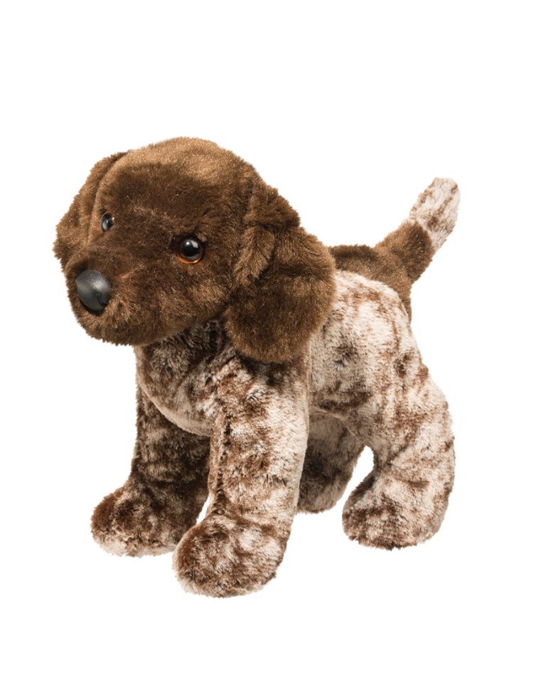 Ivan German Pointer | Douglas