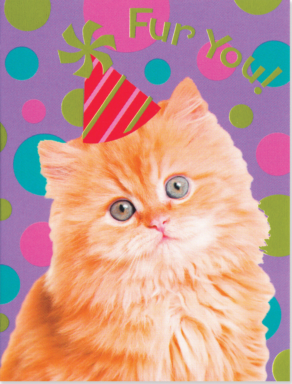 Cat Photo Foil Gift Enclosure Card