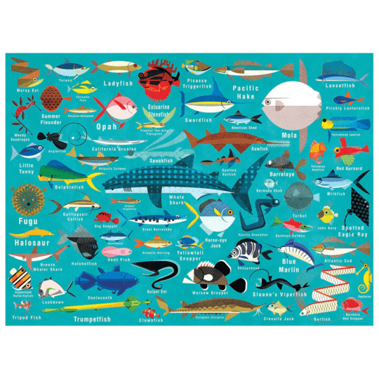 Ocean Life 1000 Piece Family Puzzle | mudpuppy
