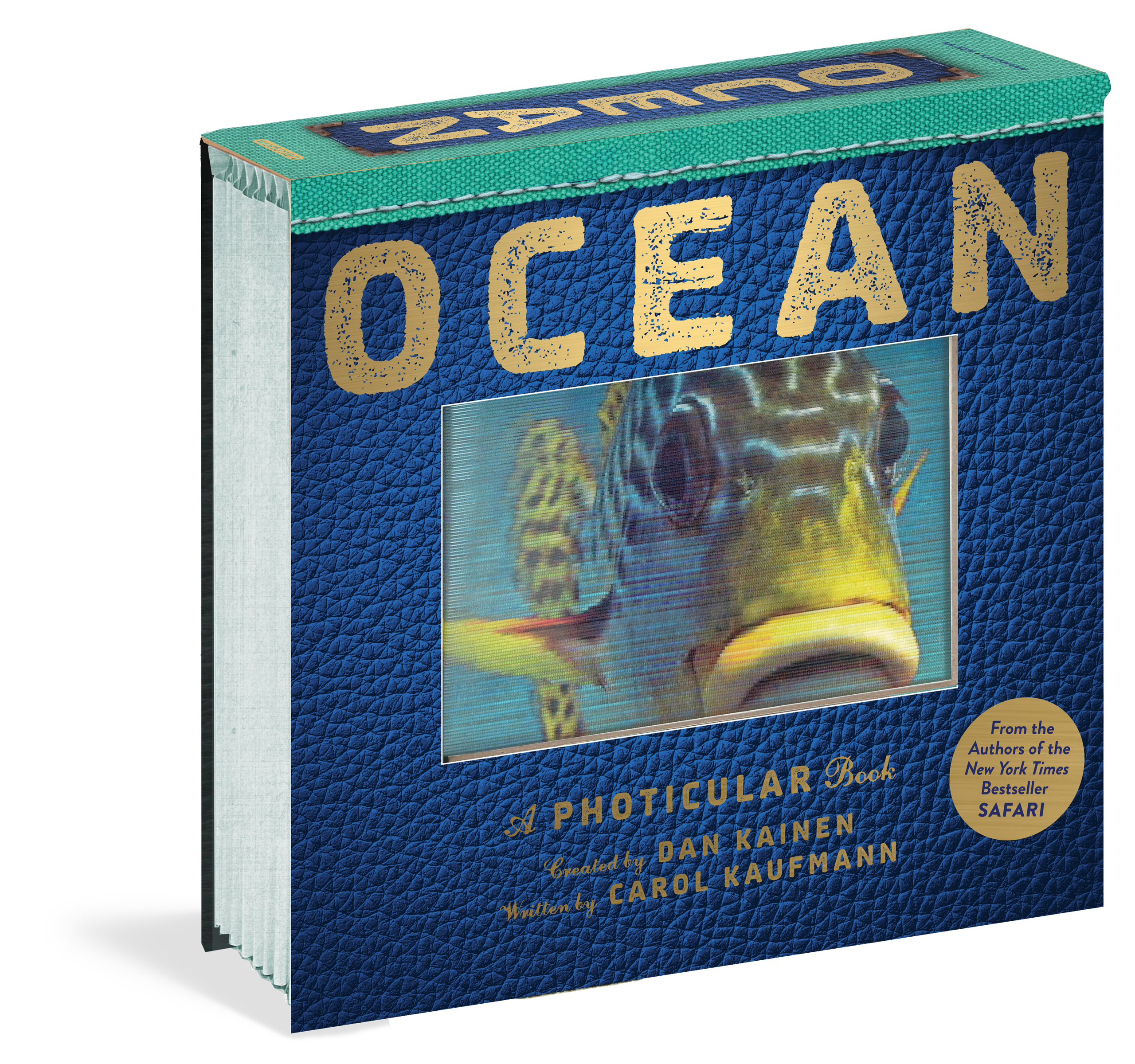 Ocean: A Photicular Book