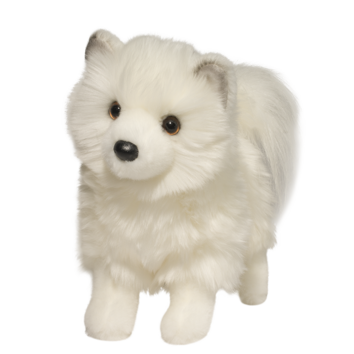 Phoebe Pomsky | Douglas