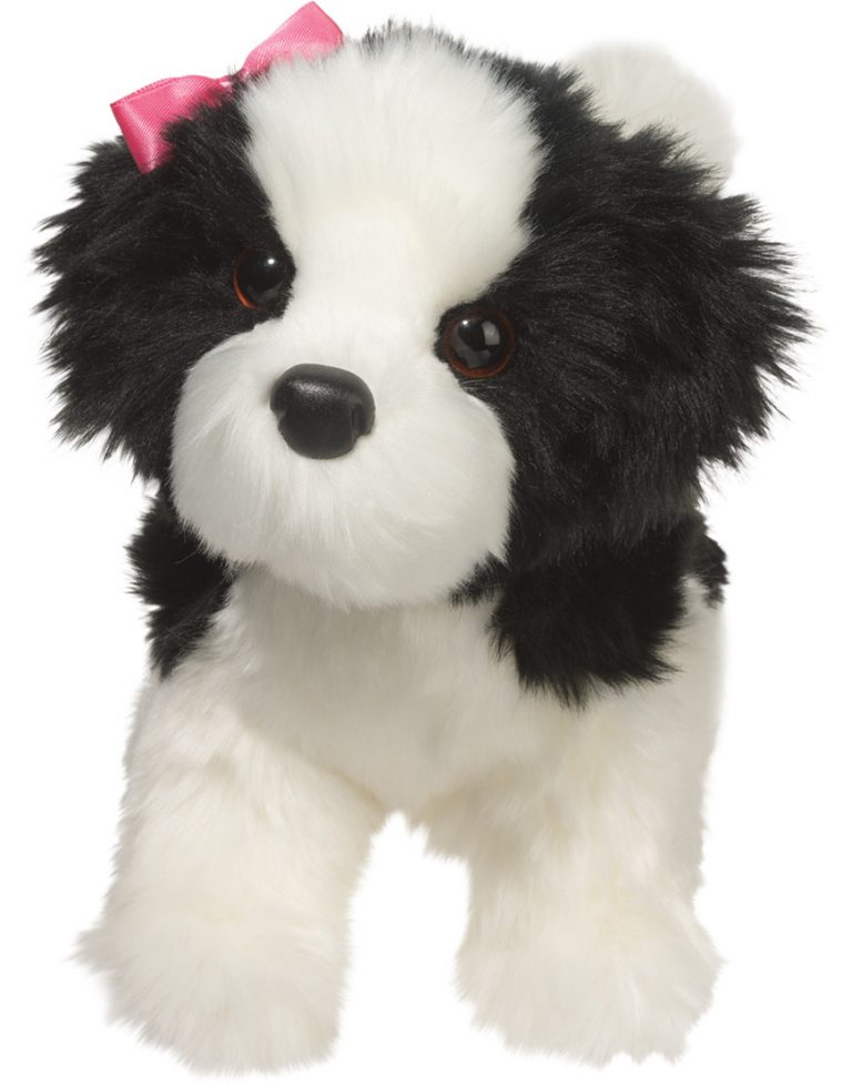 Poofy Black & White Shih-Tzu | Douglas