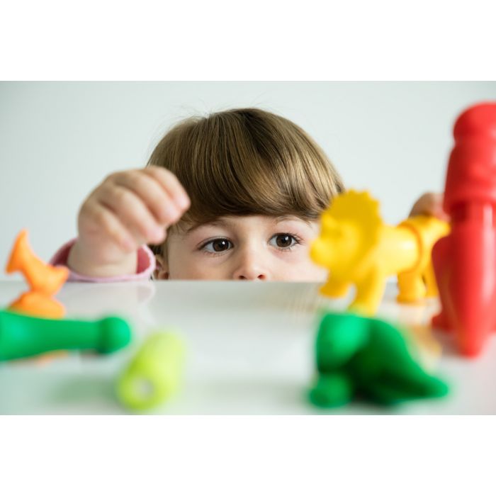 My First Dinosaurs | SmartMax
